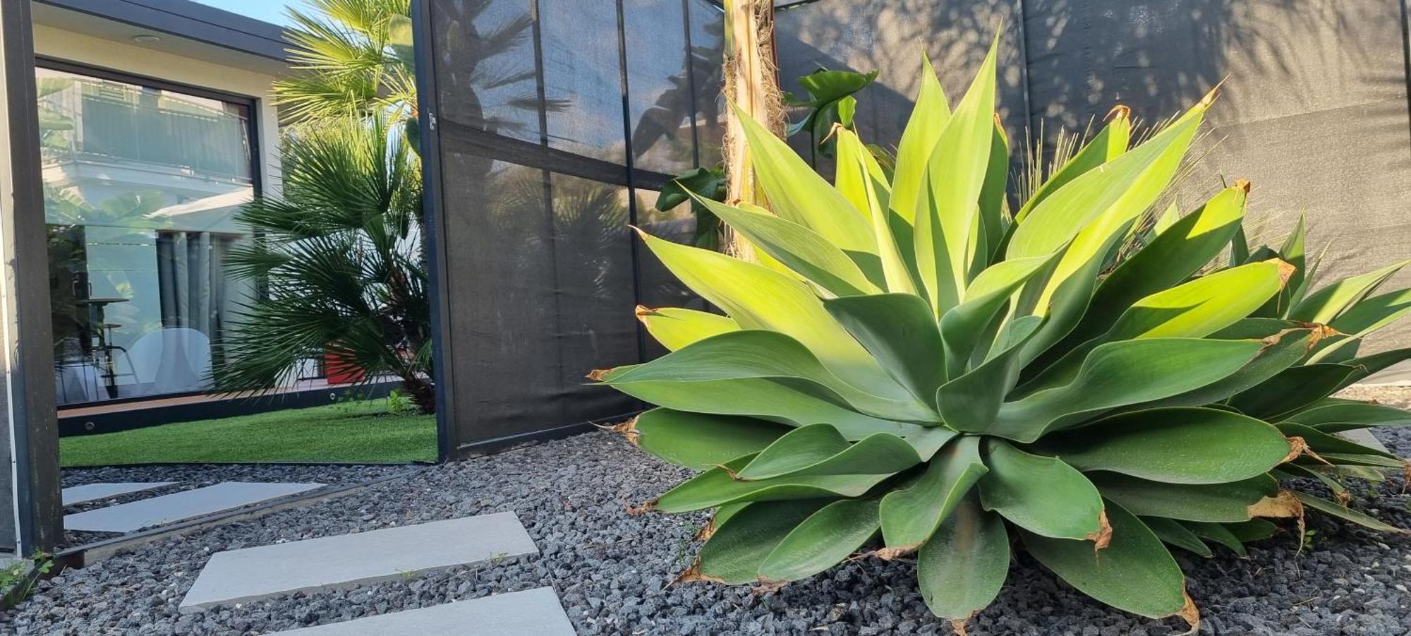 La Maison Della Valle อากริเจนโต ภายนอก รูปภาพ